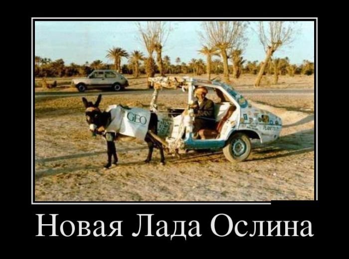 Демотиваторы (26.06.17)