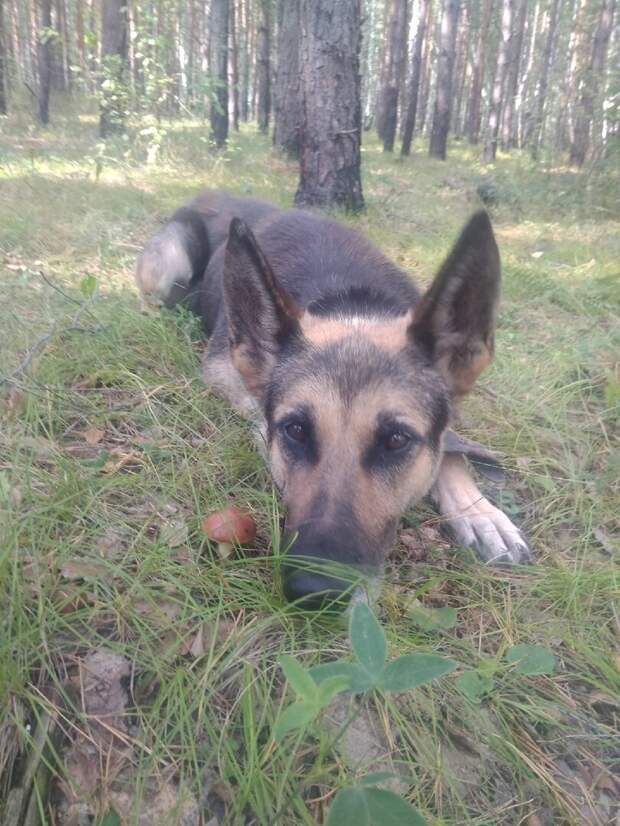 Постановочное фото!