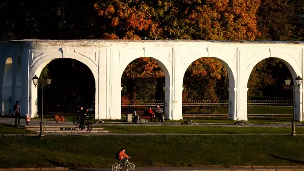 В Новгородской области продлят нерабочие дни с 8 ноября на неделю