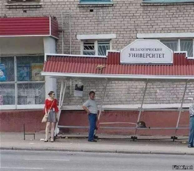 Строительные приколы ошибки и маразмы. Подборка chert-poberi-build-chert-poberi-build-24551017092020-7 картинка chert-poberi-build-24551017092020-7