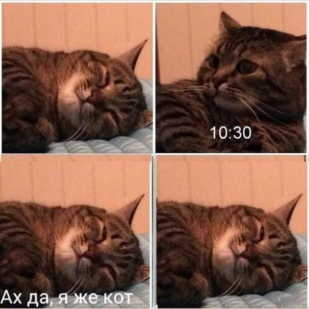 1475654555_77