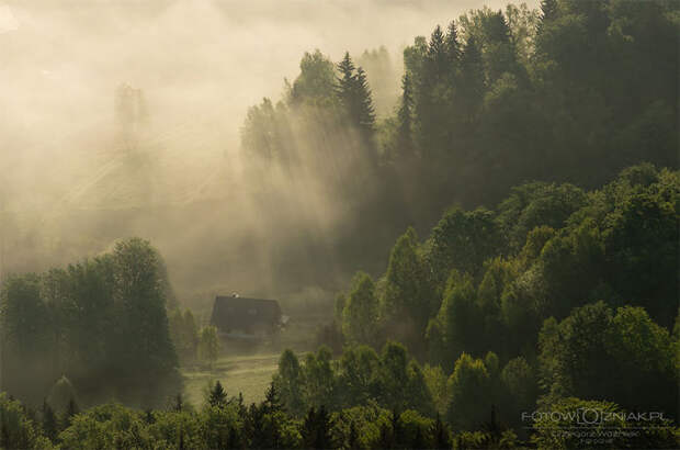 Cabin In The Woods