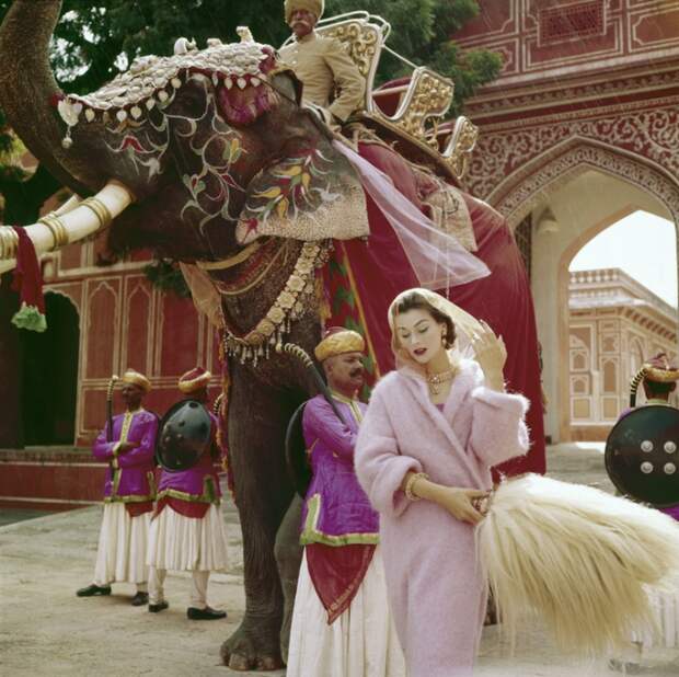 Энн Ганнинг, ноябрь 1956 года. Норман Паркинсон (Norman Parkinson) - мастер модной фотографии. Энн Ганнинг, ноябрь 1956 года. Норман Паркинсон (Norman Parkinson) - мастер модной фотографии.