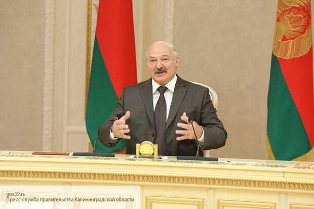 Боится, что ему заблокируют въезд в страну: Кот о том, почему Зеленский не поедет в Минск 