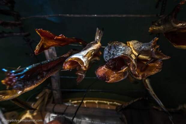 Как живут современные чукчи (29 фото)