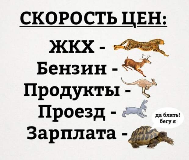 Картинки, юмор, приколы