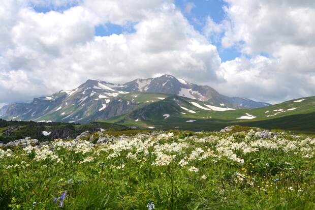 Лагонаки. Фото: westerncaucasus.ru