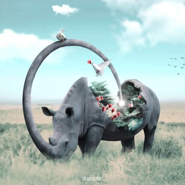 Таинственный сад. Автор: Julien Tabet. Таинственный сад. Автор: Julien Tabet.