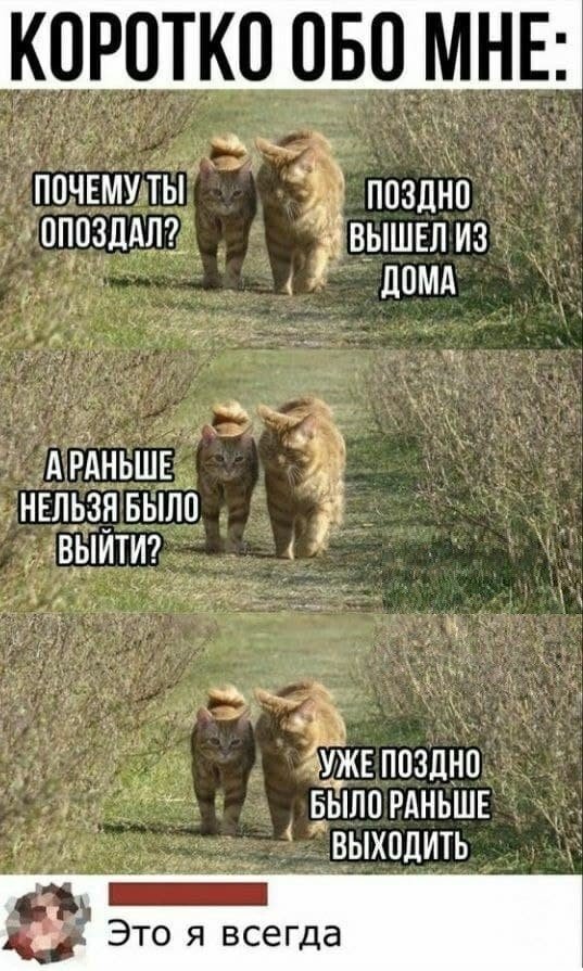 Смешные комментарии к постам в социальных сетях