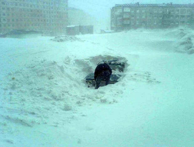 Собачий холод! Поймет тот, кто водит зимой  зима, прикол, снег, юмор