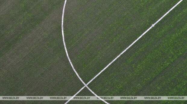 Футболисты ´Минска´ и мозырской ´Славии´ откроют 33-й чемпионат Беларуси.