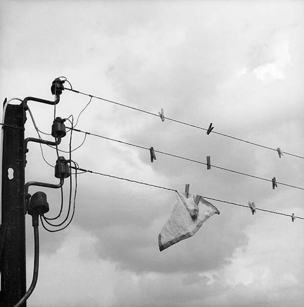 Французское юмористическое фото 1950-х забавно, рождение жанра, смешное фото, фотограф