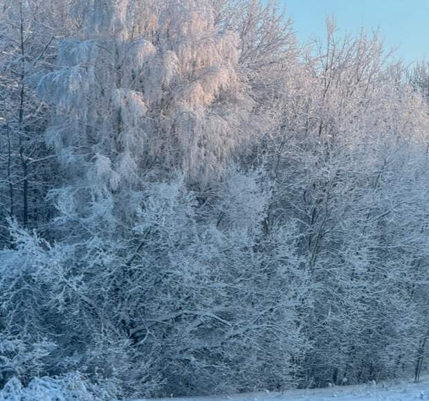 Тульскую область на выходных ждут морозы до -17 и снегопады