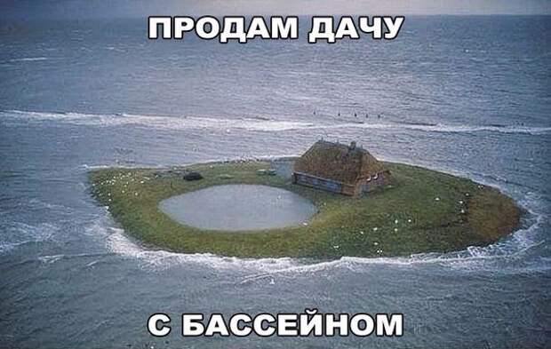 Весёлые картинки 07.12.16