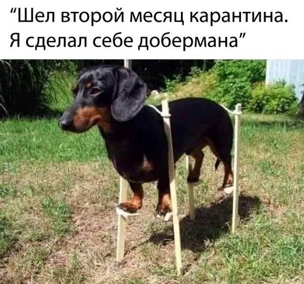 1588278354_0001.jpg