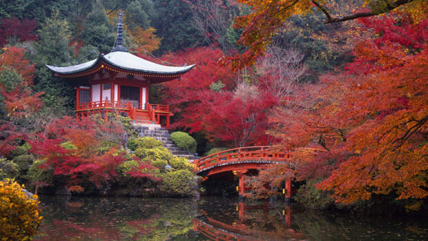 Nature___Seasons___Autumn_The_autumn_comes_to_Japan_046321_ (800x493, 519Kb)