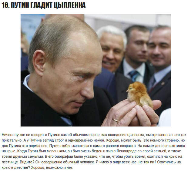 16 лучших фотографий Владимира Путина