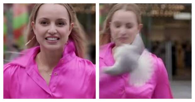 Чайка влетела в журналистку в прямом эфире