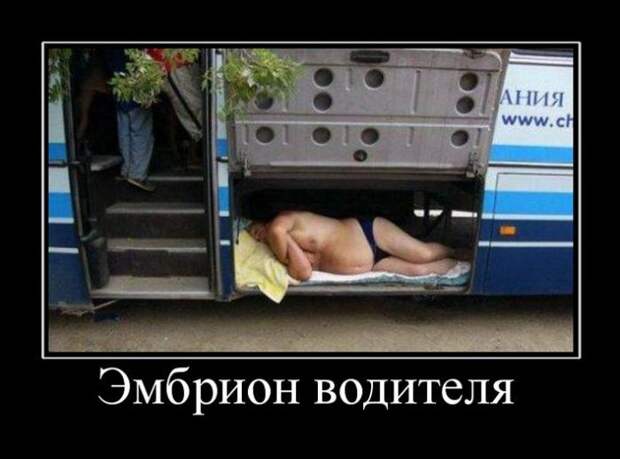 Демотиваторы (30 фото)