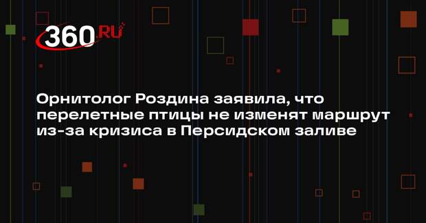 Орнитолог Роздина заявила, что перелетные птицы не изменят маршрут из-за кризиса в Персидском заливе