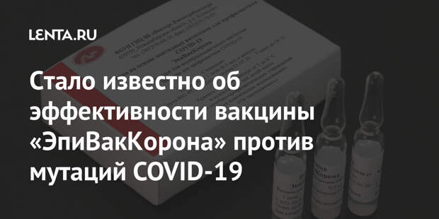 Стало известно об эффективности вакцины «ЭпиВакКорона» против мутаций COVID-19