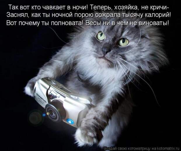 Забавные животные (50 фото)