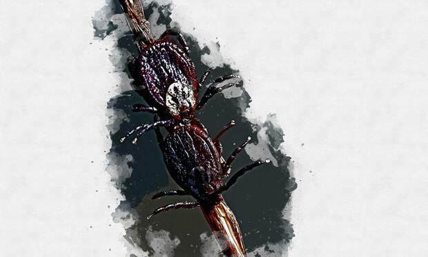 Орловцам запретили четыре дня гулять по паркам и скверам