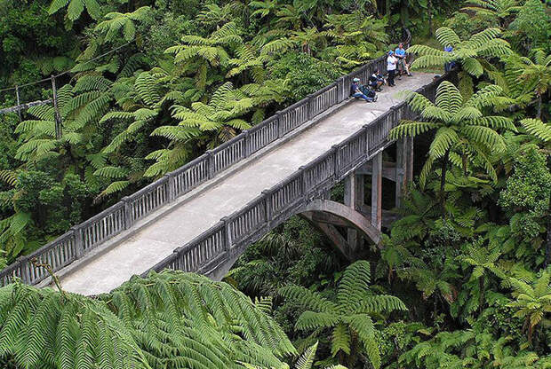 Мост в никуда (Новая Зеландия)