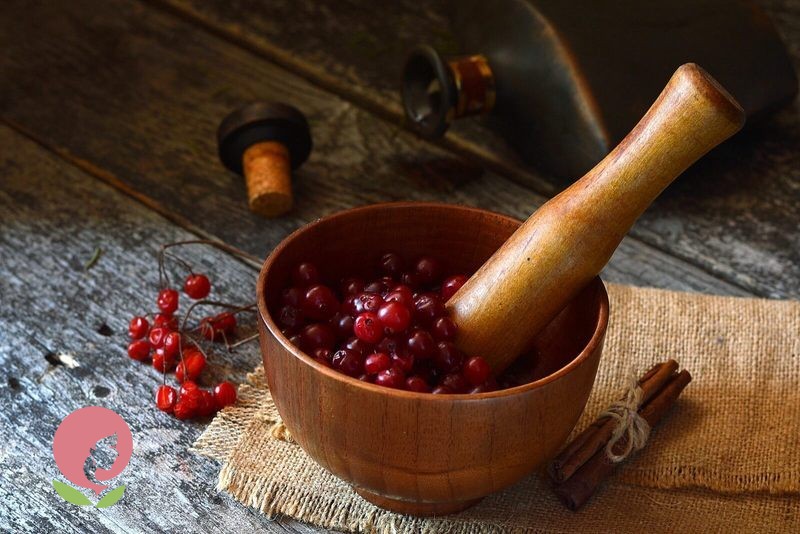 Как использовать калину при простуде