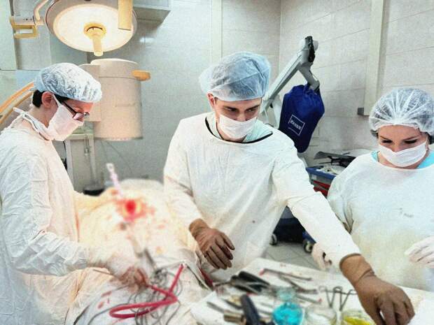 В Рязани спасли пациента с переломом позвоночника после падения с высоты