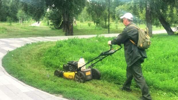 Рабочие покосят высокую траву и коноплю в Мизулинской роще в Барнауле