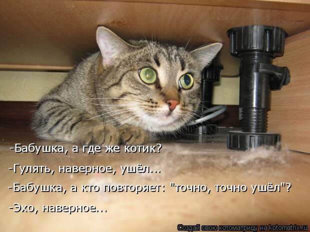 Котоматрица: -Бабушка, а где же котик? -Гулять, наверное, ушёл... -Бабушка, а кто повторяет: "точно, точно ушёл"? -Эхо, наверное...
