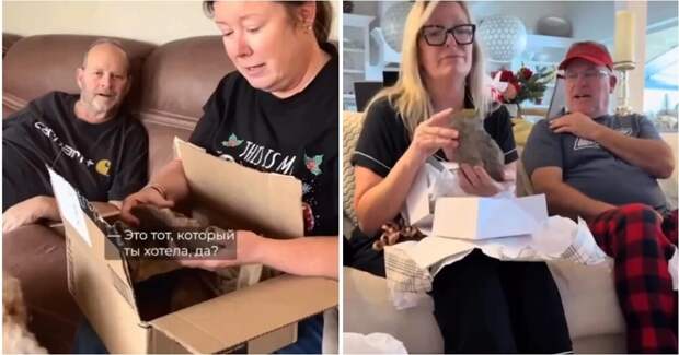 В США набирает популярность тренд, в котором дети дарят мамам «дорогие» булыжники