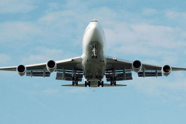 Фото: Adrian Pingstone/Wikimedia