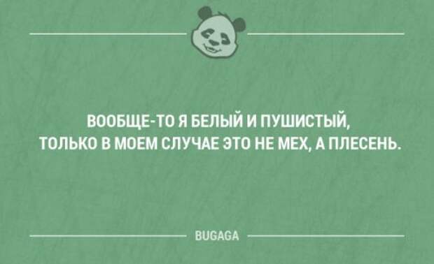 Забавные мысли и высказывания. Часть 72 (16 шт)