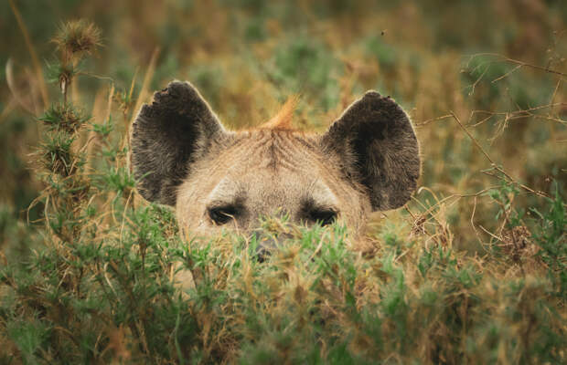 you cant see me by Furqan Ali on 500px.com