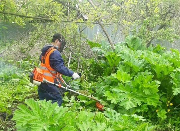 Предоставлено управой района Молжаниновский