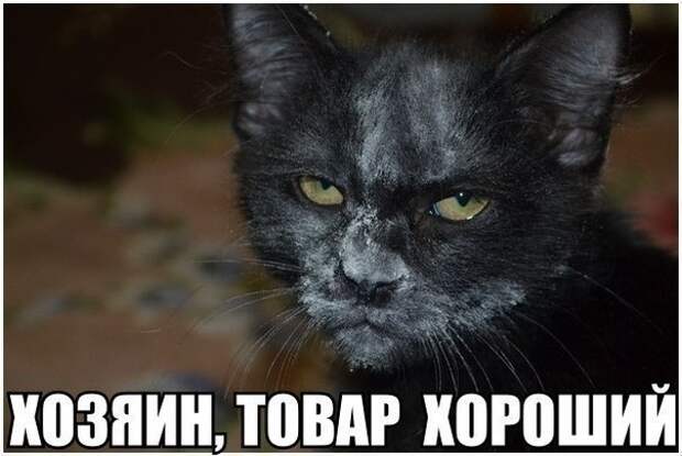 TxDQBcWk_LM