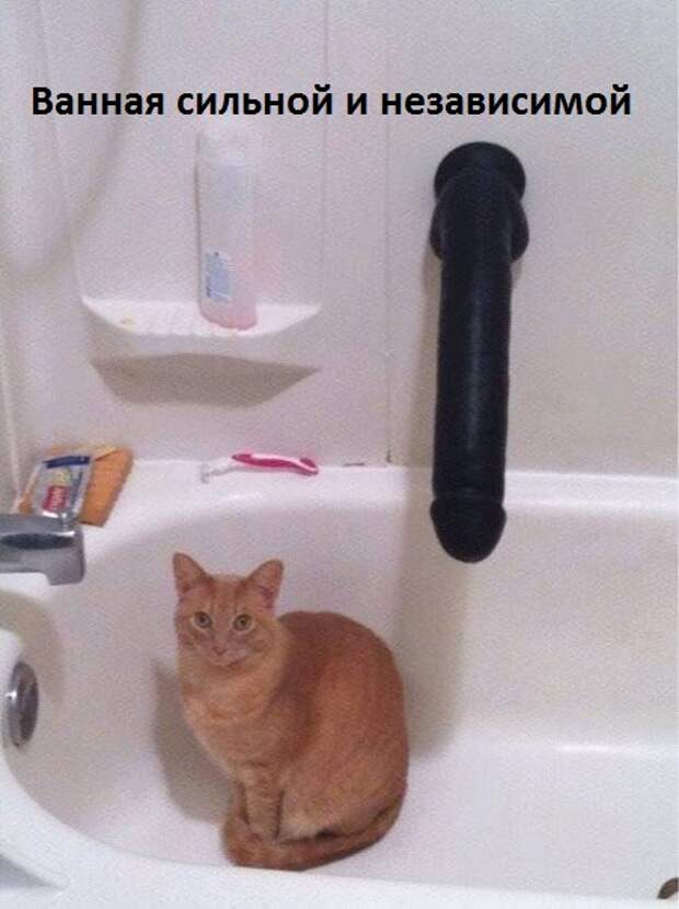 rQgFaYayz_M