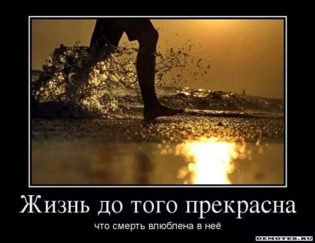 Прикольные демотиваторы с надписями. Подборка chert-poberi-dem-chert-poberi-dem-56130625062020-9 картинка chert-poberi-dem-56130625062020-9