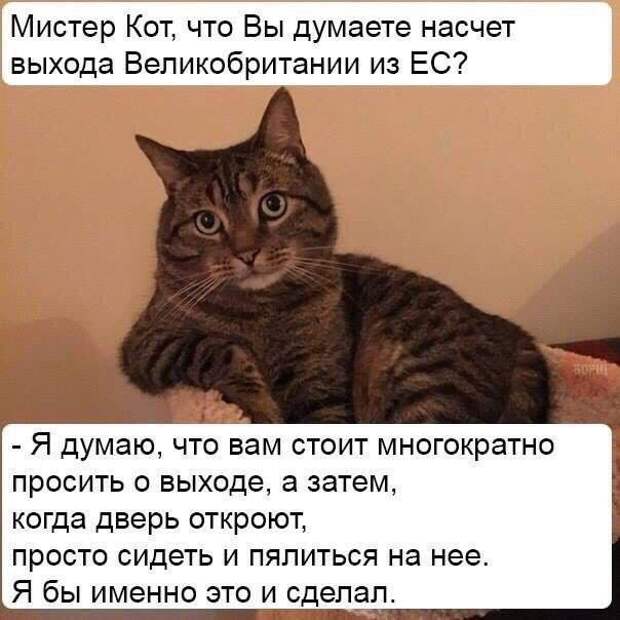 Прикольные картинки. Дневной выпуск (50 фото)