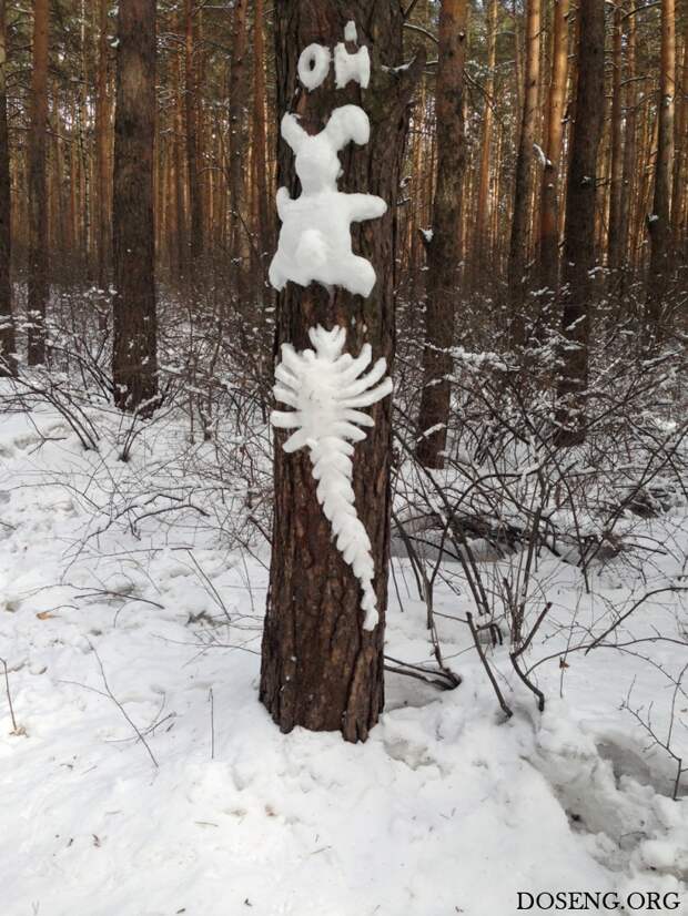 Прикольные картинки