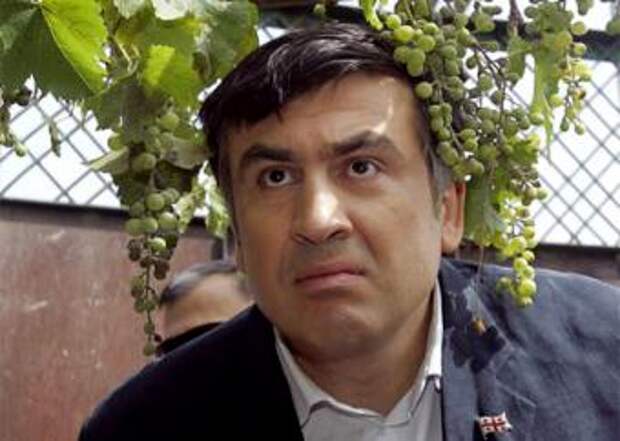 СБУ ищет Саакашвили в лесах и багажниках автомобилей