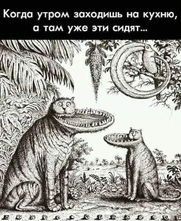 Снова фото-приколы (31 шт)