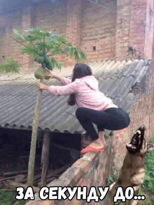 Прикольные фотомемы (28 шт)