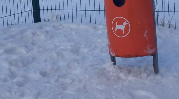 Вычистили мусор с площадки для выгула собак на Донецкой