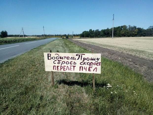 Подборка картинок. Дневной выпуск (50 фото)