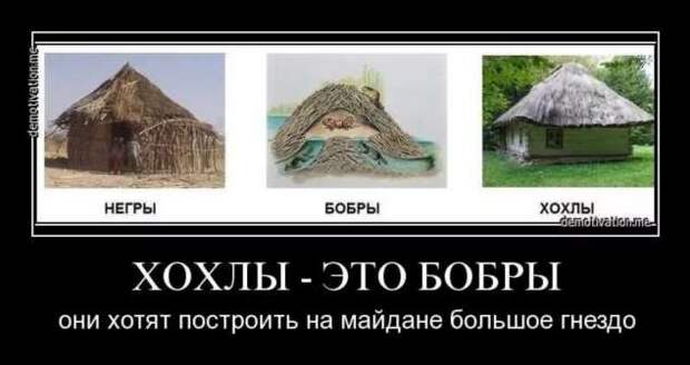 Прикольные демотиваторы с надписями. Подборка chert-poberi-dem-chert-poberi-dem-39190303112020-6 картинка chert-poberi-dem-39190303112020-6