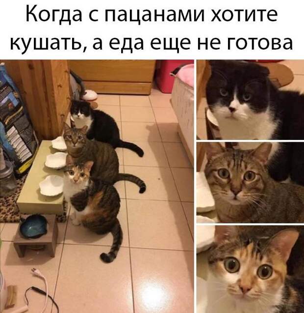 www.vsyako.net