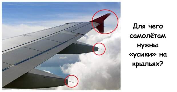 Для чего самолётам нужны «усики» на крыльях?